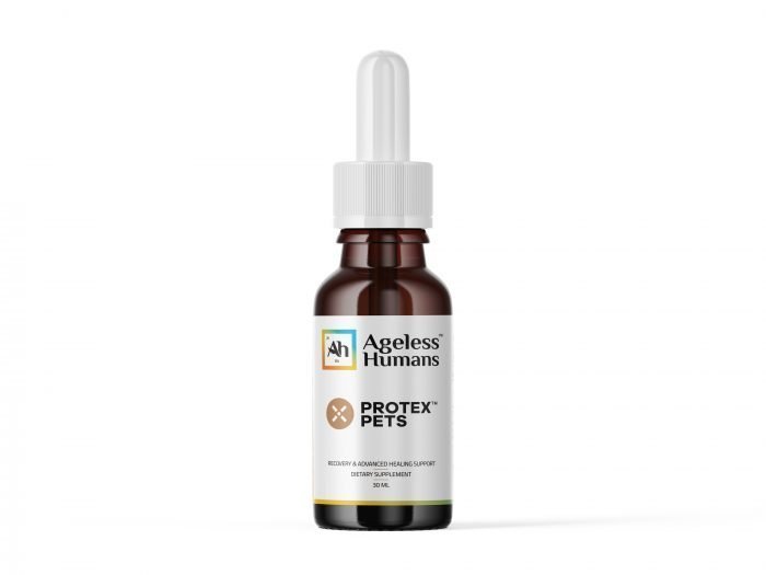 foxo4-dri senolytic peptide 2024 foxo4-dri senolytic peptide human trial 2024 Buy Epithalon Peptide foxo4-dri senolytic peptide 2024 foxo4-dri senolytic peptide human trial 2024 Buy Epithalon Peptide