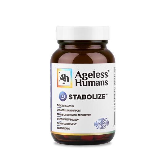 Overnight Metabolic Recovery & Support: Stabolize®