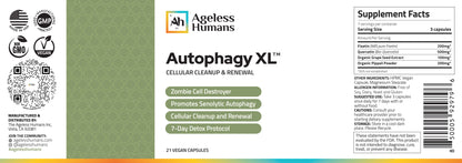 Autophagy XL™ - Cellular Cleanup & Renewal
